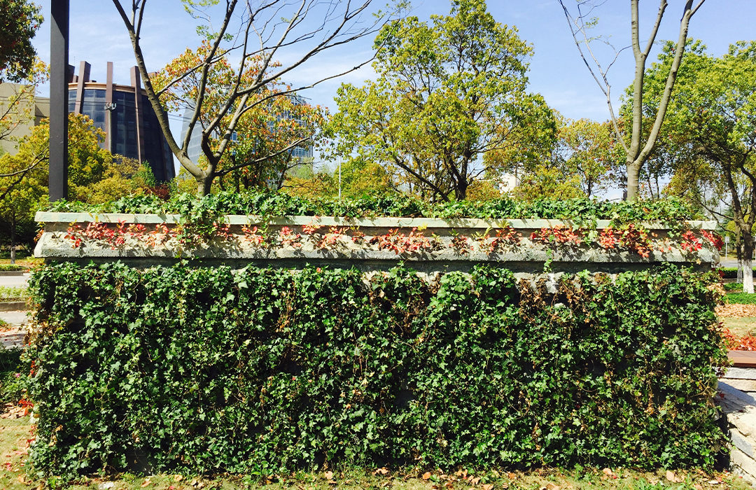 1676626140.jpg 1676626140.jpg