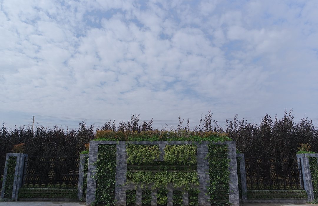 1676626405.jpg 1676626405.jpg