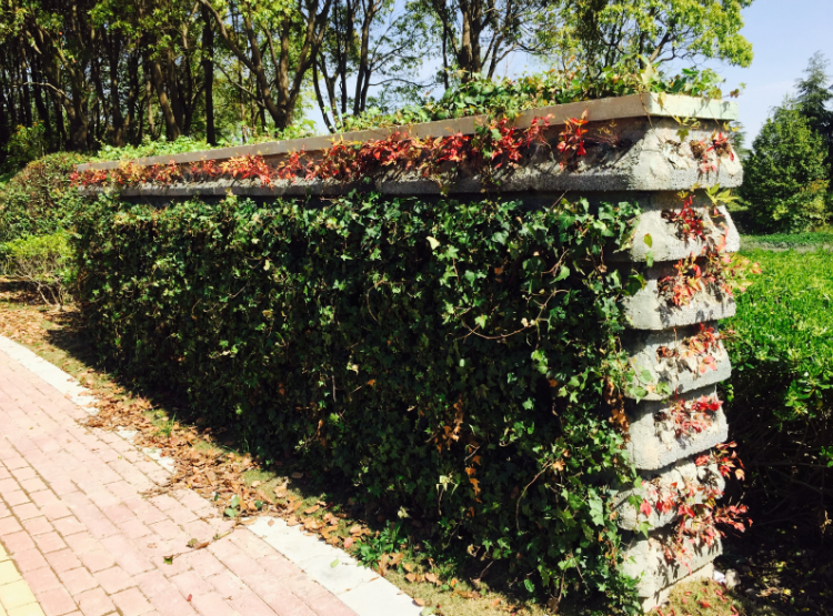 1677749236.png image.png