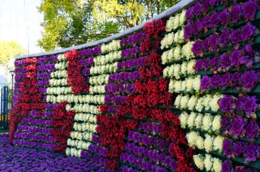 1677749297.png 1677749297.png