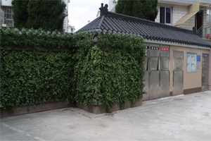 生態(tài)綠化墻-房屋外墻