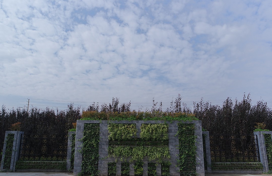 許河鎮(zhèn)-生態(tài)綠化墻（景墻）