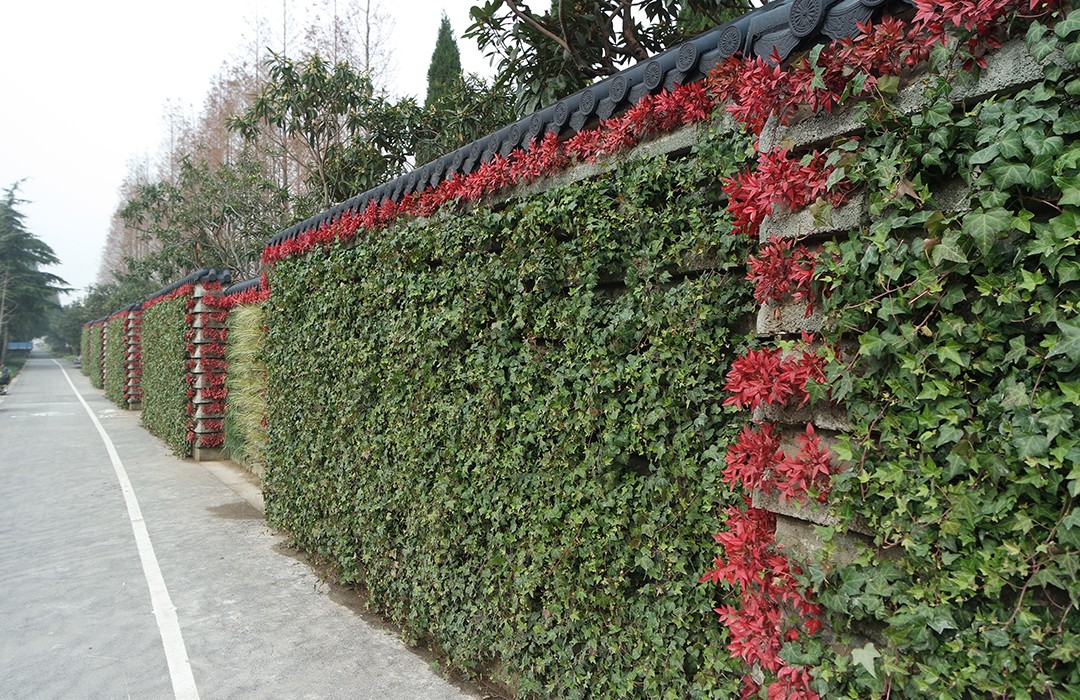 古浪路-生態(tài)綠化墻（圍墻）