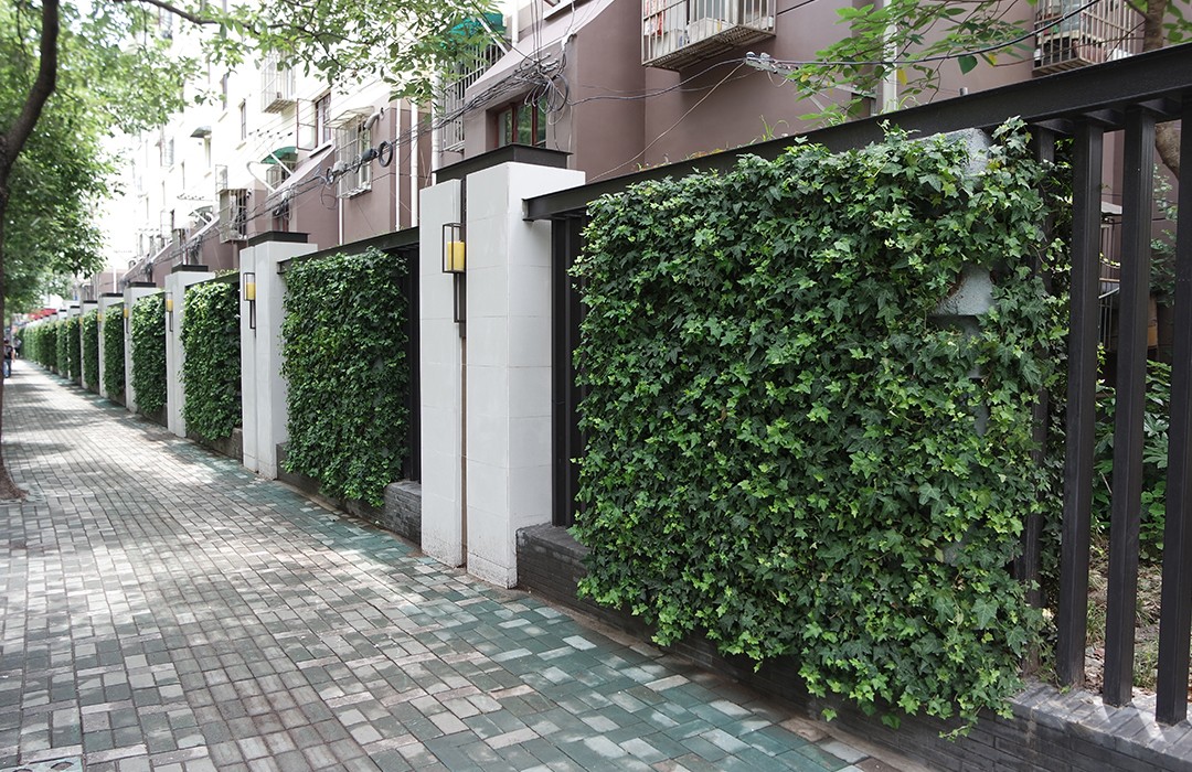 芝川路-生態(tài)綠化墻（圍墻）