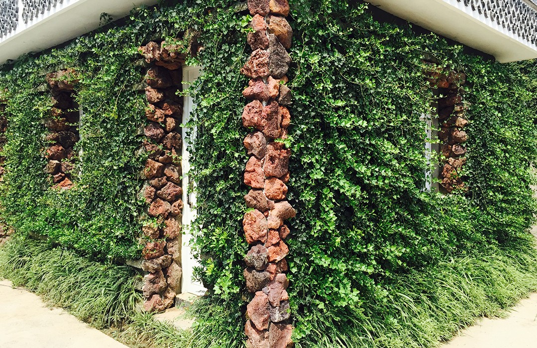 許河鎮(zhèn)-生態(tài)綠化墻（房屋）